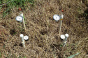 Uso de tensiômetro garante eficiência da irrigação no campo. Foto: Divulgação/Emater