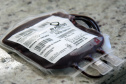A Secretaria de Estado da Saúde celebra nesta segunda-feira (25) o Dia Nacional do Doador de Sangue ressaltando a importância deste ato de amor e solidariedade.

O Hemepar é o órgão responsável no Paraná pela coleta, armazenamento, processamento, transfusão e distribuição de sangue para 385 hospitais públicos, privados e filantrópicos, além de atender 92,8% de leitos SUS no Estado. FOTO: Divulgação/SESA