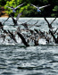 Bacias hidrográficas do Paraná abrigam belezas e potencial turístico.Foto: Denis Ferreira Netto/SEDEST