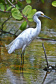 Bacias hidrográficas do Paraná abrigam belezas e potencial turístico.Foto: Denis Ferreira Netto/SEDEST