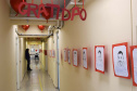 O Centro de Hematologia e Hemoterapia do Paraná (Hemepar) preparou uma recepção para agradecer aos doadores de sangue, nesta segunda-feira, 25 de novembro, data em que é celebrado o Dia do Doador de Sangue. Foto: Divulgação/SESA