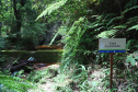 A cidade de Piraquara guarda uma riqueza incalculável para boa parte da população da Região Metropolitana de Curitiba: a sua principal fonte de água ou os chamados Mananciais da Serra. Eles são parte de uma Área de Preservação Ambiental (APA) e compõem o Parque Estadual Pico do Marumbi e o Roteiro Caminho Trentino de Piraquara, que são atrações especiais e pouco conhecidas do verão paranaense. Foto: José Fernando Ogura/AEN