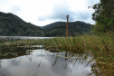 A cidade de Piraquara guarda uma riqueza incalculável para boa parte da população da Região Metropolitana de Curitiba: a sua principal fonte de água ou os chamados Mananciais da Serra. Eles são parte de uma Área de Preservação Ambiental (APA) e compõem o Parque Estadual Pico do Marumbi e o Roteiro Caminho Trentino de Piraquara, que são atrações especiais e pouco conhecidas do verão paranaense. Foto: José Fernando Ogura/AEN