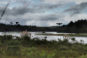 A cidade de Piraquara guarda uma riqueza incalculável para boa parte da população da Região Metropolitana de Curitiba: a sua principal fonte de água ou os chamados Mananciais da Serra. Eles são parte de uma Área de Preservação Ambiental (APA) e compõem o Parque Estadual Pico do Marumbi e o Roteiro Caminho Trentino de Piraquara, que são atrações especiais e pouco conhecidas do verão paranaense. Foto: José Fernando Ogura/AEN