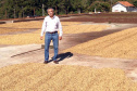 Os cafés finalistas foram avaliados por um júri técnico composto por provadores e especialistas, responsáveis por 90% da nota final, enquanto o critério de Sustentabilidade corresponde aos 10% restantes. Foto: SEAB