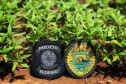 As ações fazem parte de um esforço de algumas instituições de segurança pública para combater o tráfico nacional e internacional de drogas.
Foto: SESP