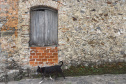 Centro histórico de Antonina, litoral do Paraná.Antonina, 18-01-20.Foto: Arnaldo Alves / AEN.