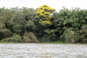 O Rio Paraná vai ganhar a Rota dos Pioneiros. O rio que dá nome ao Estado sempre foi uma importante rota de navegação. Ao longo dos séculos, indígenas, espanhóis, jesuítas, bandeirantes e migrantes de diferentes nacionalidades atravessaram as águas do Rio Paraná para encontrar em suas margens terras férteis para viver, explorar e conquistar.Foto: Ari Dias/AEN