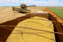 VBP agropecuário do Paraná de 2019 pode atingir R$ 93 bilhões. Fotos:Jaelson Lucas / AEN