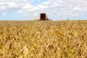 VBP agropecuário do Paraná de 2019 pode atingir R$ 93 bilhões. Foto: Jaelson Lucas/AEN