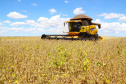 VBP agropecuário do Paraná de 2019 pode atingir R$ 93 bilhões. Fotos:Jaelson Lucas / AEN