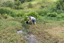  A Secretaria Municipal de Agricultura, Turismo e Meio Ambiente, com o apoio do Instituto de Desenvolvimento Rural do Paraná – Iapar-Emater e outros parceiros, está capturando alevinos de lambari no Lago do Parque Verde Vida e soltando em locais de proliferação do mosquito identificados pela Secretaria Municipal da Saúde. Os alevinos se alimentam das larvas, evitando que elas cheguem à fase adulta.Foto:Leandro Mello/Prefeitura de Barbosa Ferraz