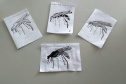 Escolas do Paraná realizam ações de combate à dengue. Foto:SEED
