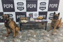 Polícia Civil registra aumento de 14% na apreensão de drogas