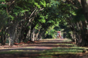 Hotel Fazenda em Itaipulândia. Foto: José Fernando Ogura/AEN