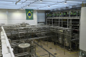 O Grupo Heineken confirmou novos investimentos no Paraná. Em cerimônia com o governador Carlos Massa Ratinho Junior, nesta quarta-feira (11), na sede da indústria, em Ponta Grossa, a cervejaria anunciou que vai destinar R$ 865 milhões até 2021 para a ampliação da produção da planta, concentrada em rótulos como Heineken e Amstel. Serão 600 novos empregos entre diretos e indiretos. O empreendimento tem o apoio do Governo do Estado por meio do Programa Paraná Competitivo.