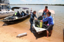 A paisagem do rio Paraná é cinematográfica. Os quilômetros que separam uma margem da outra são uma imensidão de tons de verde, mesclando na água as cores das árvores que povoam as centenas de ilhas locais. De perto, o verde da água se torna transparente, cristalino, despertando a curiosidade para as profundezas do segundo maior rio da América do Sul. Foto: Ari Dias/AEN