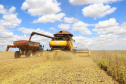 O agronegócio é responsável por 33,9% do Produto Interno Bruto (PIB) do Paraná, valor que, em 2017, chegou a R$ 142,2 bilhões. Os estudos foram feitos pelo Ipardes (Instituto Paranaense de Desenvolvimento Econômico e Social), órgão vinculado à Secretaria de Estado do Planejamento e Projetos Estruturantes. Foto: Jaelson Lucas/AEN