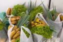 As mudanças de atitude da sociedade provocadas pelo novo coronavírus não paralisaram as atividades de associações de produtores rurais, responsáveis pela alimentação, sobretudo de famílias mais carentes. O comprometimento também mantém em atividade centenas de servidores estaduais que ajudam na tarefa de forma presencial ou em teletrabalho. Foto:SEAB