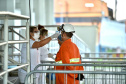 Equipes médicas foram contratadas e atuam 24 horas para fazer aferição de temperatura, orientação e triagem dos profissionais que descarregam cargas e atuam na atividade portuária. Há postos médicos e de enfermagem, 32 chuveiros, 60 pias e lava-pés com hipoclorito de sódio, entre outras iniciativas.Foto: Claudio Neves. Foto: Claudio Neves
Foto: Divulgação/APPA