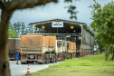 
Pátio de Triagem do Porto de Paranaguá tem movimento recorde. Foto: Claudio Neves