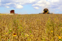 Paraná deverá produzir 41,2 milhões de toneladas de grãos. Fotos:Jaelson Lucas / AEN