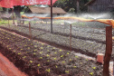 Com um uma propriedade de seis hectares em Janiópolis, na região Centro-Oeste do Paraná, os produtores rurais Valdirene e Mário Mataran, que trabalharam com bovinocultura de leite e olericultura, tinham dificuldade em aumentar a renda