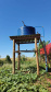 Com um uma propriedade de seis hectares em Janiópolis, na região Centro-Oeste do Paraná, os produtores rurais Valdirene e Mário Mataran, que trabalharam com bovinocultura de leite e olericultura, tinham dificuldade em aumentar a renda