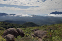 Parques do Estado continuam fechados para visitação. Foto: IAT