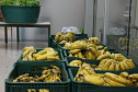 Escolas da rede estadual distribuem kits da merenda. Foto:SEED