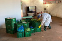 Muitos agricultores mudaram os hábitos de trabalho no campo devido à pandemia do coronavírus e passaram a adotar medidas adicionais de segurança. Um dos locais em que isso aconteceu é Centenário do Sul, no norte do Paraná, onde se estabeleceu uma parceria entre a Associação dos Pequenos Produtores de Centenário do Sul, a prefeitura e técnicos do Instituto de Desenvolvimento Rural do Paraná Iapar-Emater (IDR-Paraná).
 Foto:SEAB