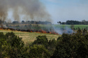   Foto: Geraldo Bubniak/ANPr