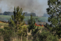  Foto: Geraldo Bubniak/ANPr