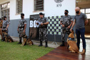 Lótus, Kira e Loba viveram uma grande história na Companhia de Operações com Cães (COC) do Batalhão de Operações Especiais (BOPE) ao longo de quase 9 anos de atividade