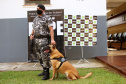 Lótus, Kira e Loba viveram uma grande história na Companhia de Operações com Cães (COC) do Batalhão de Operações Especiais (BOPE) ao longo de quase 9 anos de atividade