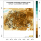 Anomalia trimestral de precipitação no Paraná de fevereiro a abril de 2020, indicando a memória hidrológica em cada região
Fonte: Simepar