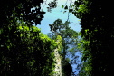Paraná tem novo mapeamento de cobertura vegetal
Foto:Denis Ferreira Netto/SEDEST