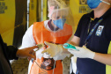 de proteção e prevenção aos profissionais que cortam as rodovias do Paraná garantindo o abastecimento das famílias, inclusive durante a pandemia de coronavírus.  
Foto: José Fernando Ogura/AEN