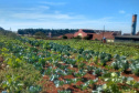 Horta da PIC ganha conceito de reaproveitamento e sustentabilidade. Foto:Depen
