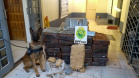 BPFron completa oito anos de atuação com mais de 66 toneladas de drogas apreendidas. Foto:SESP