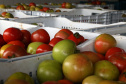  Bancos de Alimentos da Ceasa já distribuiu 970 toneladas neste ano. Foto: Gilson Abreu/AEN
