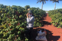 Mulheres do Oeste do Paraná se unem para produzir café especial. Foto:SEAB