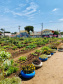 Copel apoia agricultura familiar durante a pandemia
. Foto: Copel