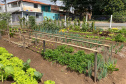 Copel apoia agricultura familiar durante a pandemia
. Foto: Copel