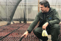 O Instituto Água e Terra, vinculado à Secretaria de Estado do Desenvolvimento Sustentável e do Turismo, distribui gratuitamente mudas de mais de 100 espécies nativas para todo o Estado. Entre elas estão araucária, jabuticaba, canela, peroba, imbuia e erva-mate, que formam parte da vegetação existente no Paraná. Apenas no ano passado foram cerca de 1,6 milhão de unidades.

Foto:IAT