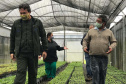 O Instituto Água e Terra, vinculado à Secretaria de Estado do Desenvolvimento Sustentável e do Turismo, distribui gratuitamente mudas de mais de 100 espécies nativas para todo o Estado. Entre elas estão araucária, jabuticaba, canela, peroba, imbuia e erva-mate, que formam parte da vegetação existente no Paraná. Apenas no ano passado foram cerca de 1,6 milhão de unidades.

Foto:IAT