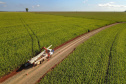 Paraná Trifásico abre espaço para agropecuária crescer mais