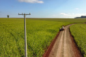 Paraná Trifásico abre espaço para agropecuária crescer mais