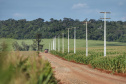 Paraná Trifásico abre espaço para agropecuária crescer mais