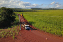 Paraná Trifásico abre espaço para agropecuária crescer mais